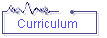 Curriculum